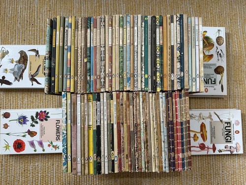 Complete set king - set,