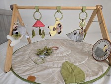 Tiny Love Luxe Developmental