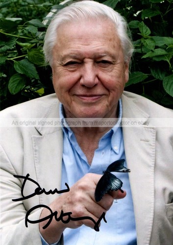Sir david attenborough natural - david,