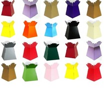 Living Vase Flower for