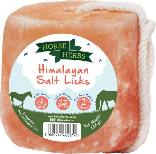 Himalayan salt lick - lick, |