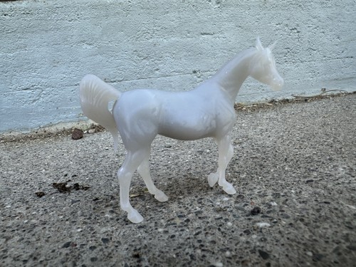Natalia arabian carola - arabian, funder
