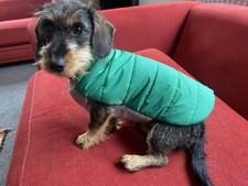 Mungo and Maud  Dog Coat Beautiful Dog Coat