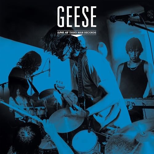 Geese live third man - geese,