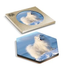 1 x Hexagon Coaster - Samoyed