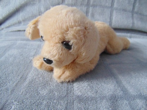 Plush teddies stuffed - stuffed, toys