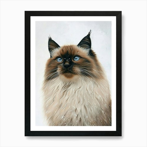 Himalayan cat painting art - cat,