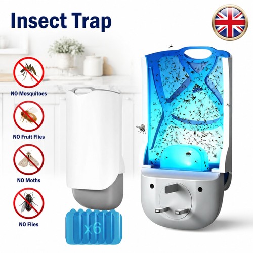 Fly catcher indoor fruit - fly,