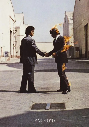 Pink floyd wish you - pink, here