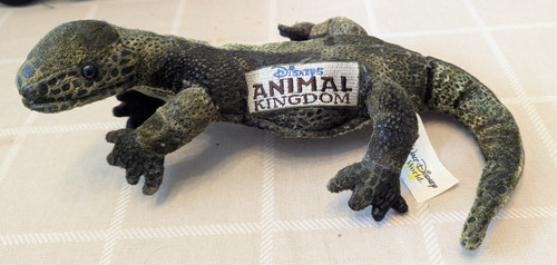 Disney animal kingdom lizard - disney,