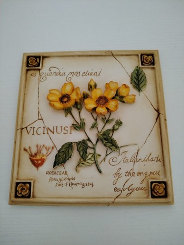 Vicinusi hand painted wall - vicinusi,
