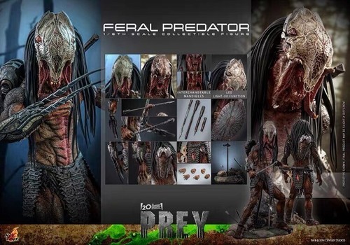 New hot toys tms114 feral - 1/6,