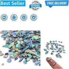 Abalone new zealand - new,
