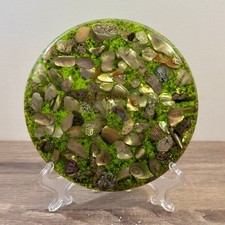 Vintage Lucite Trivet Green Shell – Mid Century Coastal Decor 14.3cm