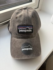 Patagonia Men's Mesh Trucker