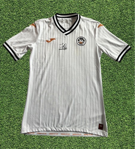 Joel piroe swansea city - joel,