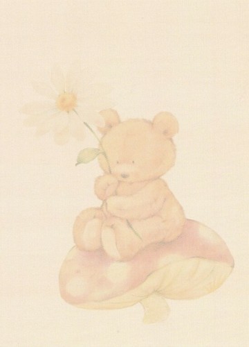 Backing paper teddy - paper, x