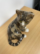 Winstanley Grey Tabby Cat