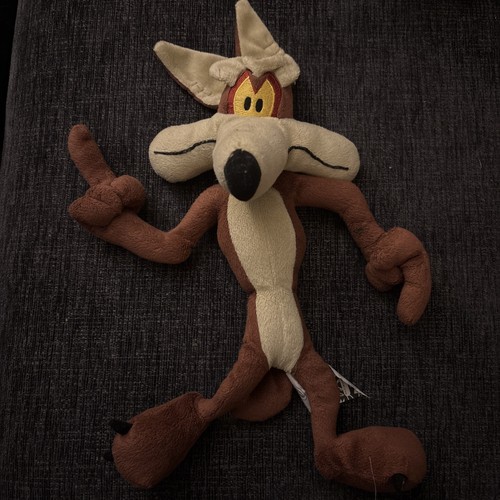 Boots looney tunes - looney, wile