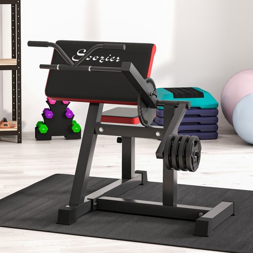 Bicep preacher curl bench - preacher,