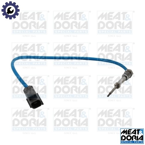 Sensor exhaust gas - sensor, temperature