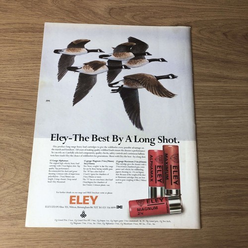 Guns123 magazine advert 12x9 - guns123,
