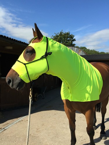 Lycra horse hood fluorescent - lycra,