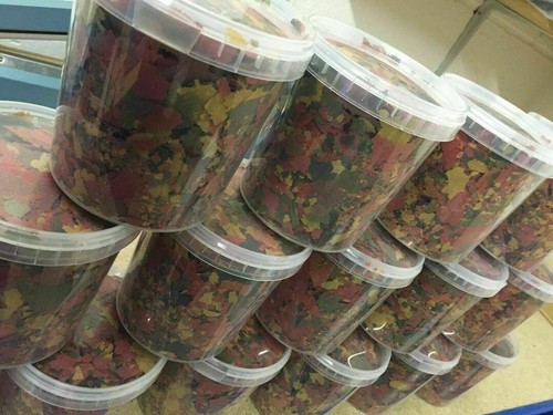 Aquarium tropical flake fish - aquarium,