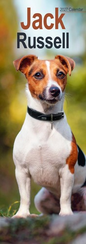 Jack russell slim 2027 - russell,