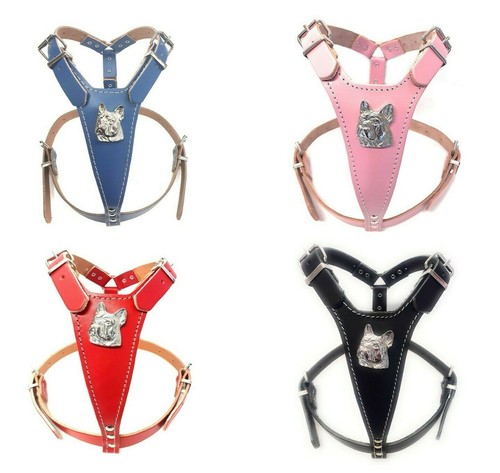 Medium adjustable frenchie - medium,