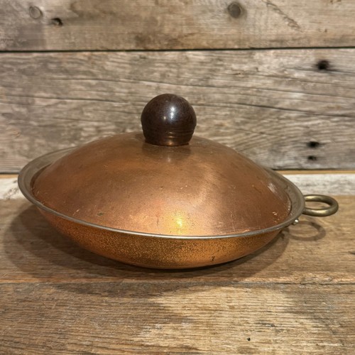 1960s 80s copper fish jelly - fish,
