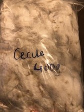 Raw untreated 'MEDIUM' white alpaca fleece 600g