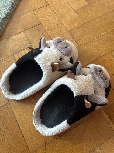 Very worn slippers