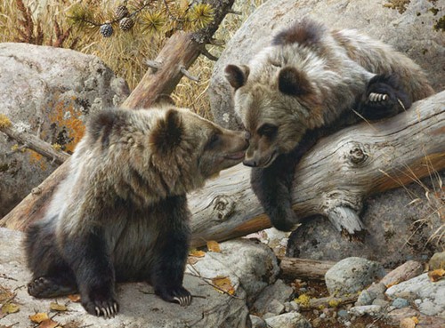 Alaska chat carl brenders - chat",