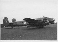 AVRO SHACKLETON - original