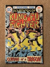 Richard Dragon Kung-Fu Fighter