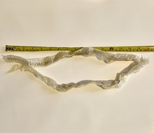 33” Part Adult Corn Snake