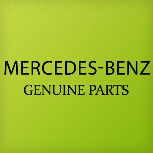 Genuine front bumper mesh - front,