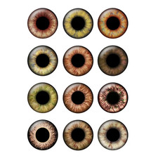 12 Pairs 14mm Glass Eyes Chips