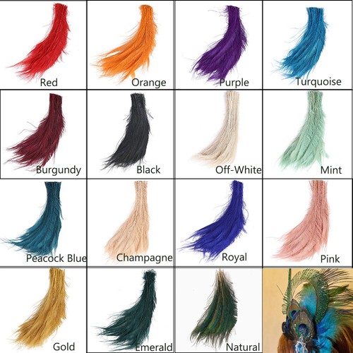 10pcs colourful peacock - peacock, side
