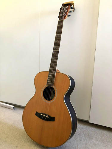 Tanglewood discovery dbt eb - tanglewood,