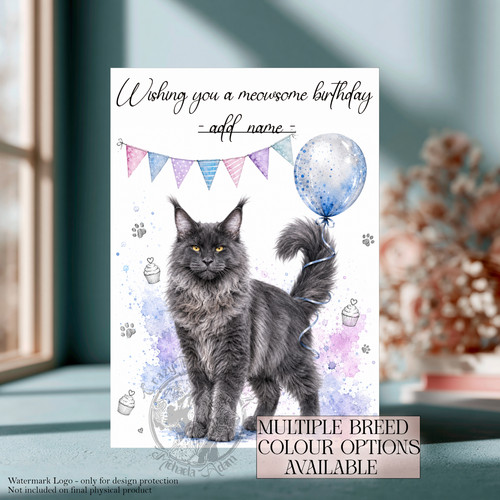 Maine coon cat - maine,