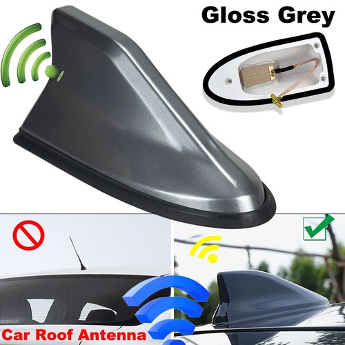 Universal gloss grey car shark - grey,