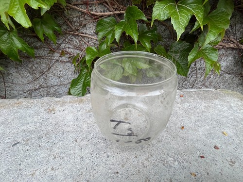 Antique oil lamp glass globe.