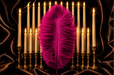 X10 magenta ostrich - magenta, feathers