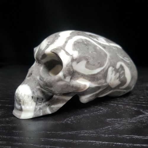 Crinoid fossil crystal - 5.9",