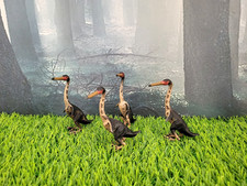 Primeval Hesperornis Dinosaurs