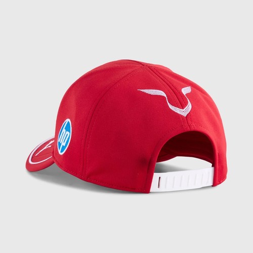 New scuderia 2025 lewis - f1,