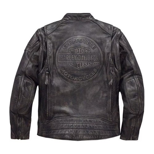 Harley davidson dauntless - harley,