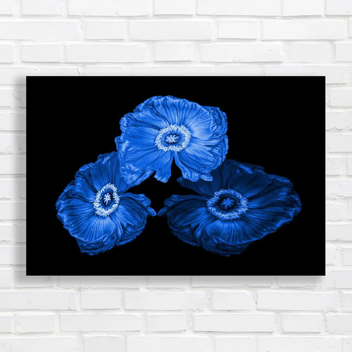 Vibrant poppy floral blue - vibrant,